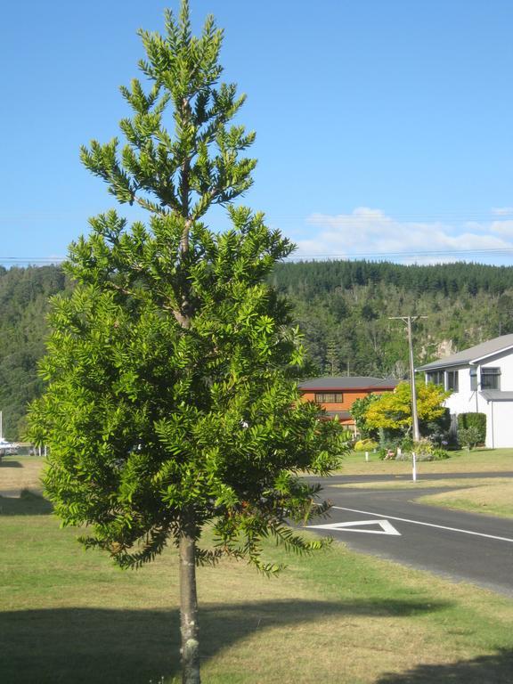 Addsbury House Appartamento Whangamata Esterno foto